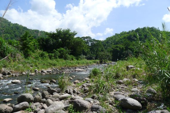 Wag Water River, St. Mary Jamaica